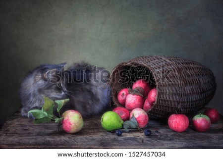 Still life with basket of apples and adorable gray kitty