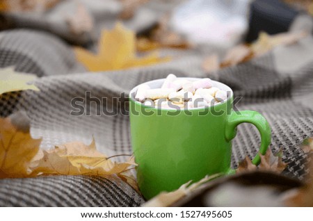 Autumn leaves and hot steaming cup of coffee lies on checkered plaid outdoors