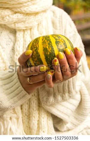 Girl in a white sweater holds a small pumpkin