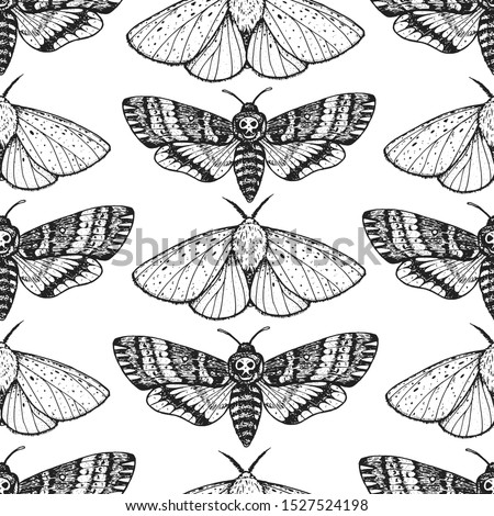 Butterfly seamless pattern. Engraving design. Hand drawn vector illustration. Butterfly sketch, vintage background. Moth seamless pattern.