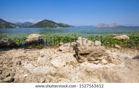 A huge lake in the mountains, in the water of the lake floating water lilies, and near the shore grow different species of plants