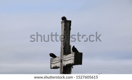 Crows perched on a cross