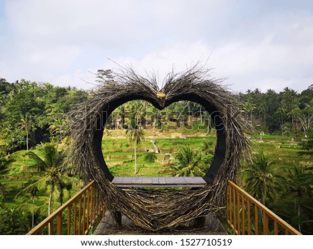 Heart made from wooden branches overlooking on rice fields in Ubud Bali