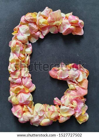 rose flower petals forming the letter G
