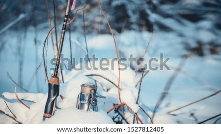 Fishing with spinning in the winter. Freshwater fishing.