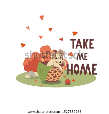 Take me home. The cute sad puppy sits into the wicker basket. Help homeless animal concept. Vector illustration.