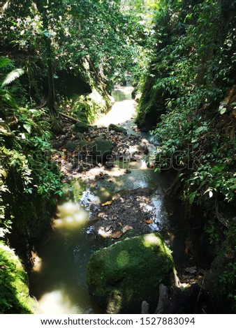 Jungle river creek background in Monkey Forest Ubud Bali