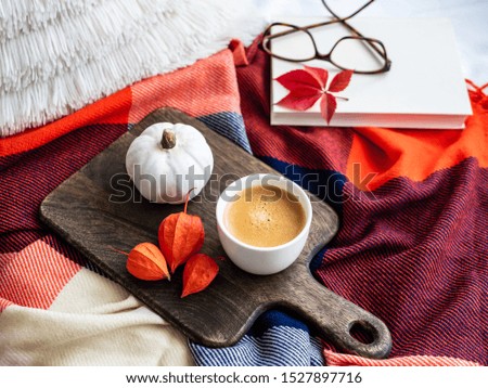 A cup of coffee on a serving tray, fresh figs, a book and reading glasses on a checkered blanket
