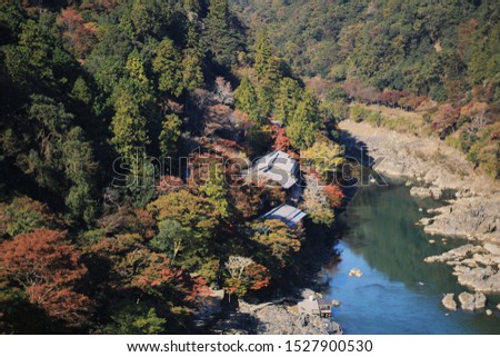 Most favourite season is coming, the color change of Autumn. Picture taken at Arashiyama, Kyoto, Japan 