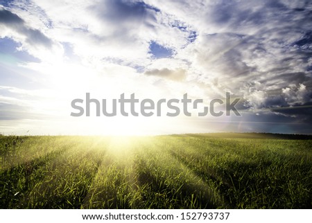 field green grass and dramatic sunset cloudy sky