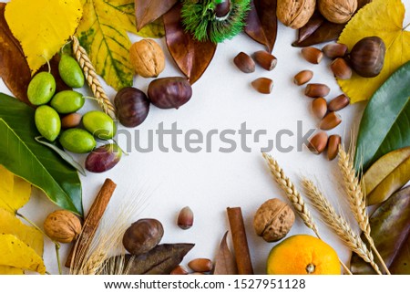Harvest design with new crop foods,autumn leaves and copy space on the middle of image