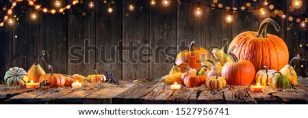 Thanksgiving - Pumpkins And Corncobs On Rustic Table
