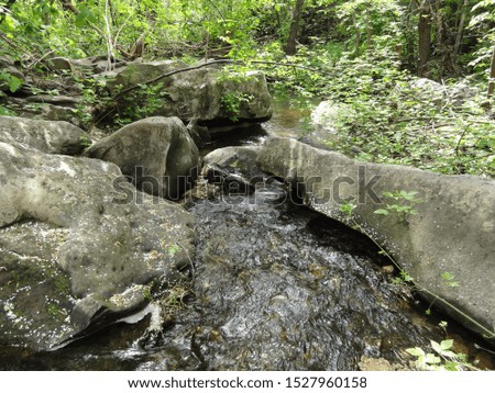 small mountain river among the stones
