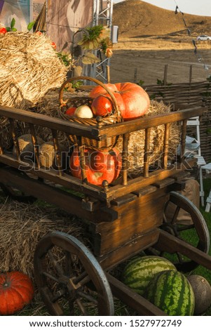 Village color with cart and vegetables