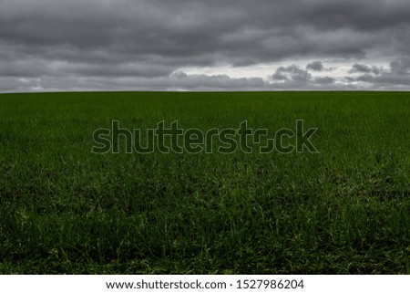 A horizontal shot of a beautiful green  land under the dark cloudy sky during daytime