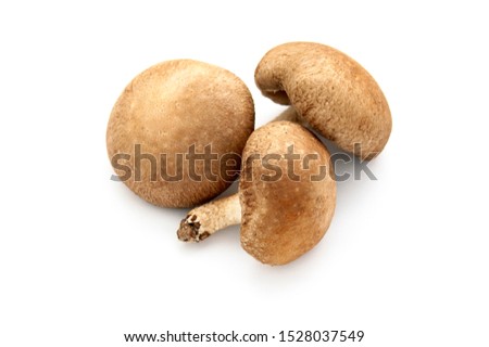 This is a picture of Shiitane Mushrooms.
