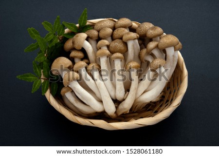 This is a picture of Shimeji mushroom.