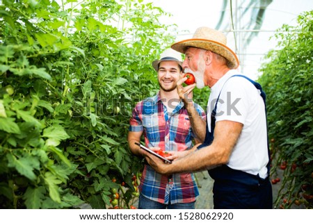 Grandfather and his grandson in a greenhouse,stock photo