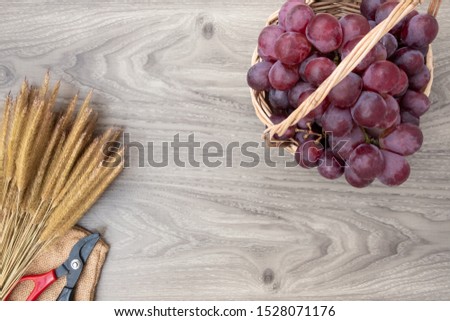 Fresh grapes on basket wood background. copy space for add text.	