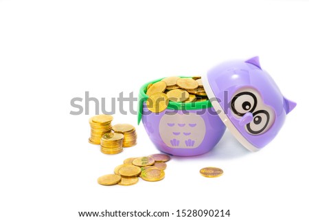 purple owl   wears a gold coin, which is two baht coins in Thailand.
The meaning of the picture is Owls show knowledge That leads to generating revenue