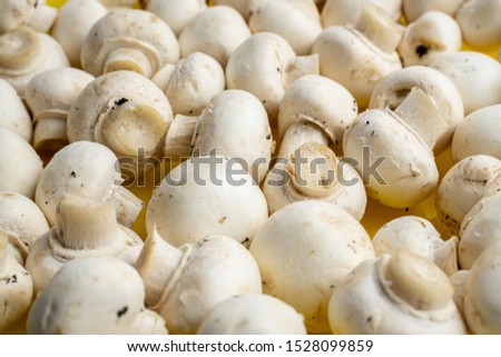 Tasty mushrooms on a wooden table. Mushrooms in the kitchen on a chopping board. Light background.