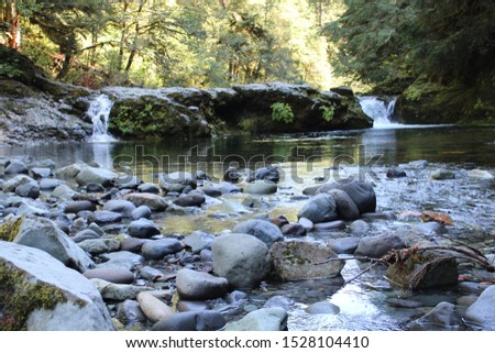 Double waterfall flowing over fern covered rocks. Opal Creek Oregon