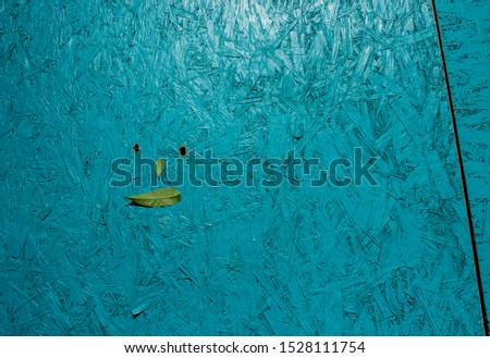 The face of the leaves of the tree. Wood background. Turquoise. Conceptual art photo. Portrait . Blue background.