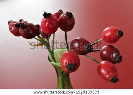 Autumnal red rosehip in green glass vase on red background