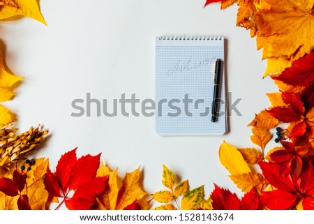 yellow and red leaves autumn white postcard background