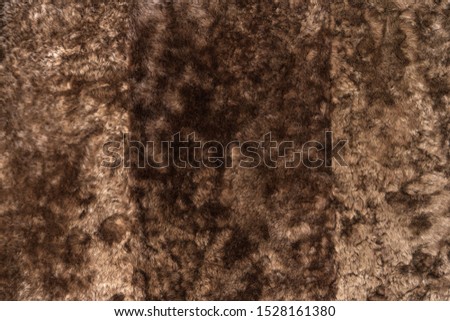 Natural fur sample. Surface made of brown wool. Luxury coat or scarf. Abstract textured background with copy space.