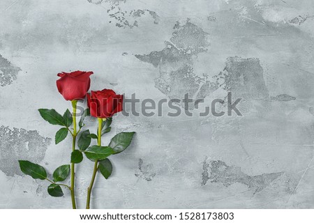 Red roses lie on a textured light background. Space for your text
