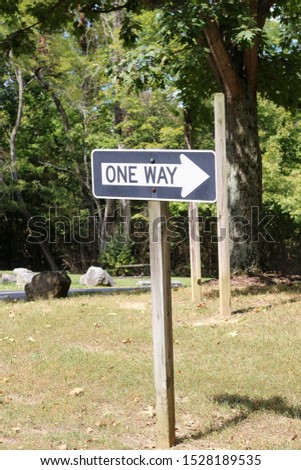 A close view of the black and white one way sign on the side of the road.