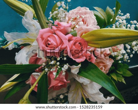 A flower bouquet is a collection of flowers in a creative arrangement. Flower bouquets can be arranged for the decor of homes or public buildings, or may be handheld. 