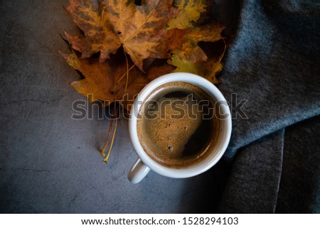 Hot coffee with brown and orange leaves and a cozy blanket on concrete background. Blogging concept. Flat lay.