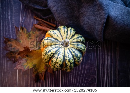 Seasonal squash on wooden table with autumn leaves, cinnamon and a blanket.