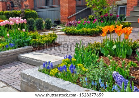 This beautiful urban front yard garden features a large veranda, brick paver walkway, retaining wall with plantings of bulbs, shrubs and perennials for colour, texture and winter interest. Royalty-Free Stock Photo #1528377659