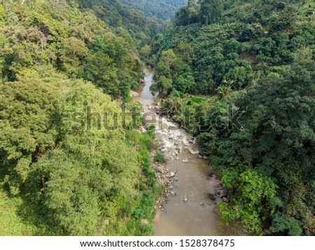 Stream in the rainforest near Chiang Mai, Thailand
