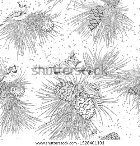 winter landscape, pine branches, cones, birds sitting on the branches of spruce. Hand-drawn. Seamless pattern