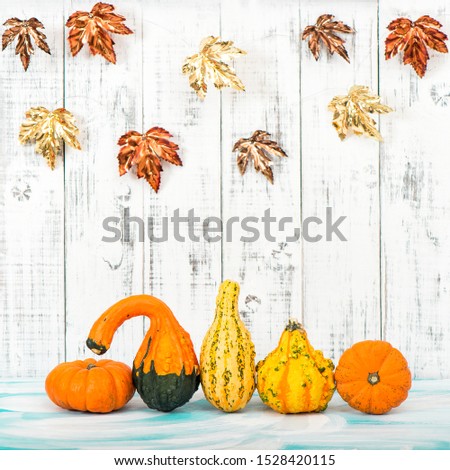Pumpkin on bright wooden background. Autumn. Thanksgiving. Halloween