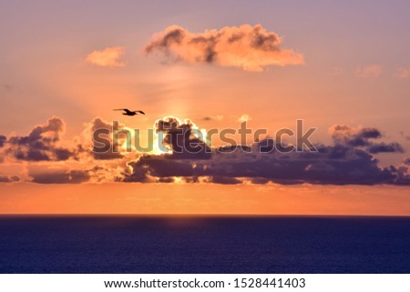 Sea Tropical Sunset , digital image picture