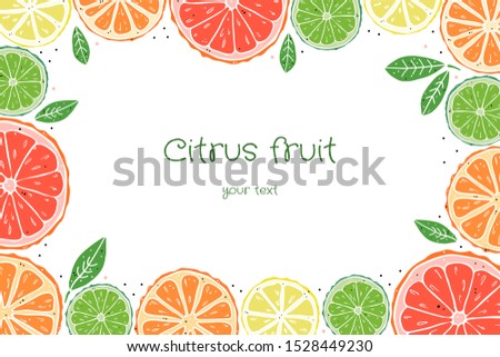 rectangular frame of mix citrus fruit on a white background