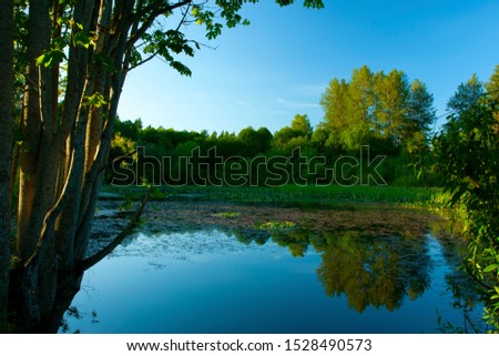 a picture of an exterior Pacific Northwest forest with fresh water lake