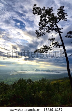 Viewpoint Sunrise at Pha Nok Aen in Phukradueng national park.  Background Landscape picture concept.