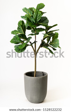 fiber pots with fake plant isolated on white background ,Modern Cement pots with plants , Modern flowerpot,Fiberclay Pot,Concrete terrazzo lightweight Royalty-Free Stock Photo #1528522232