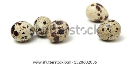 Fresh quail eggs on a white background