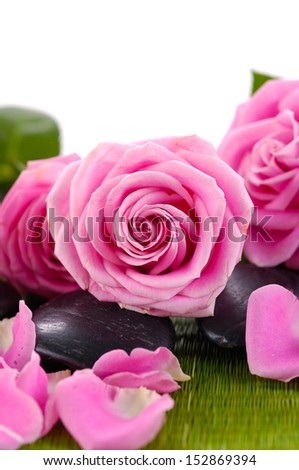 Pink rose flower with petals and stones on green mat background.