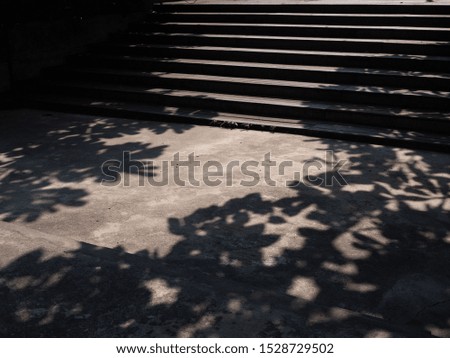 beautiful stair with shade light