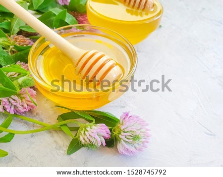 fresh honey flower clover on concrete background
