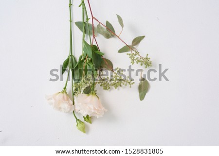 studio production, leaf and flower arrangement