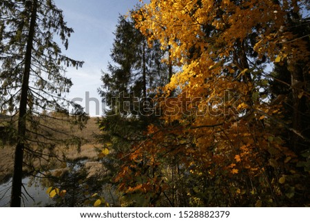 Autumn landscape in the Russia